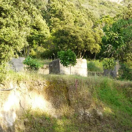 Bergerie U Sialellu *