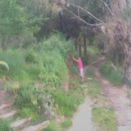 Bergerie U Sialellu *