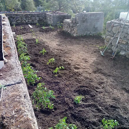 Bergerie U Sialellu *