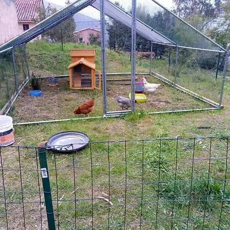 Bergerie U Sialellu Sagone (Corsica)