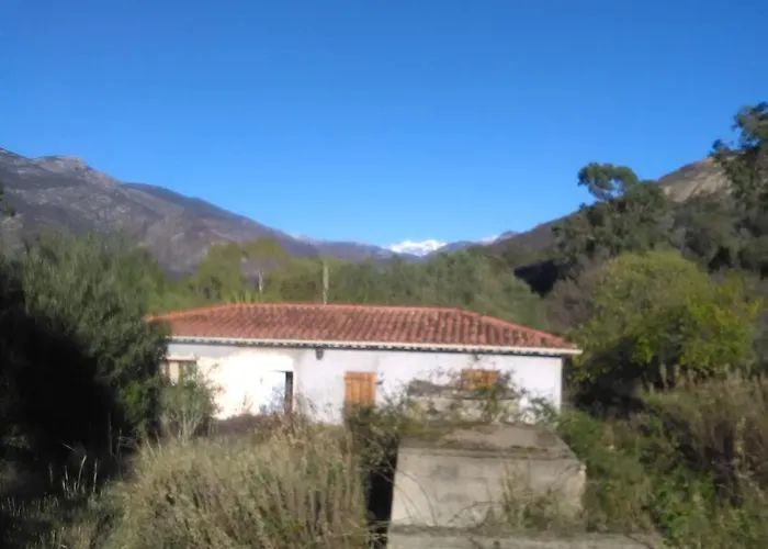 Bergerie U Sialellu Couette-café *