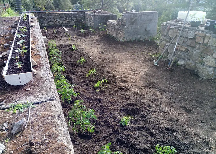 Bergerie U Sialellu *