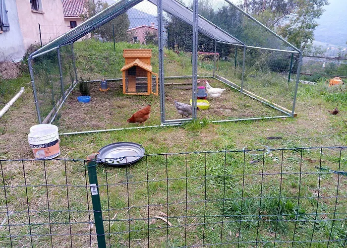 Bergerie U Sialellu Sagone (Corsica)