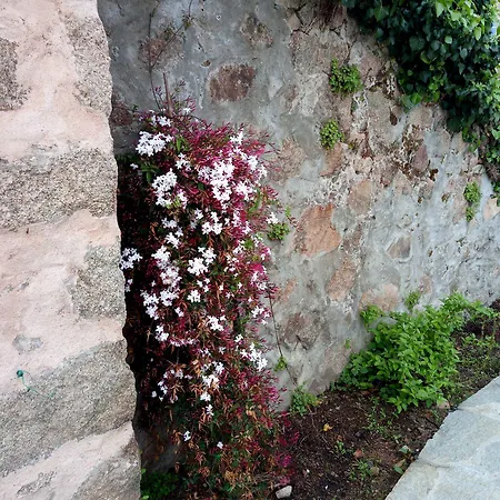 Bergerie U Sialellu Sagone (Corsica)