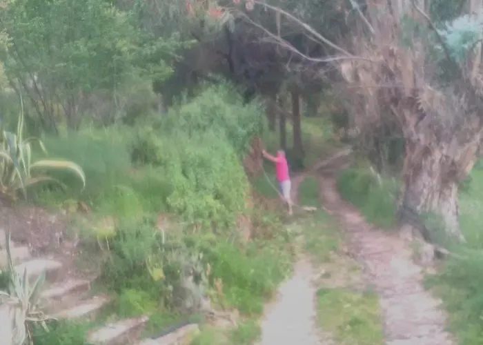 Bergerie U Sialellu *