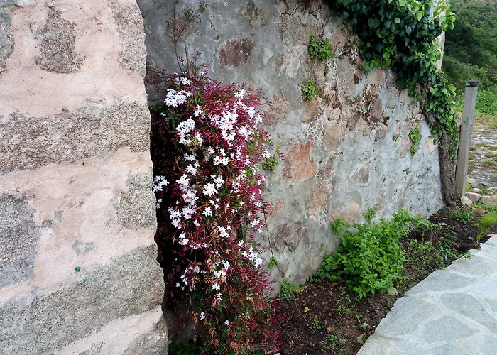 Bergerie U Sialellu Sagone (Corsica)