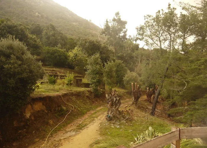 Bergerie U Sialellu *